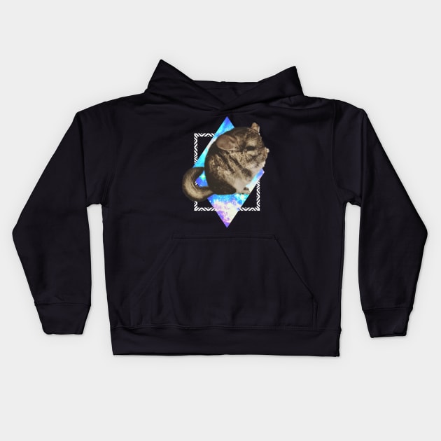 CHINCHILLA IN SPACE Kids Hoodie by Anewman00.DESIGNS